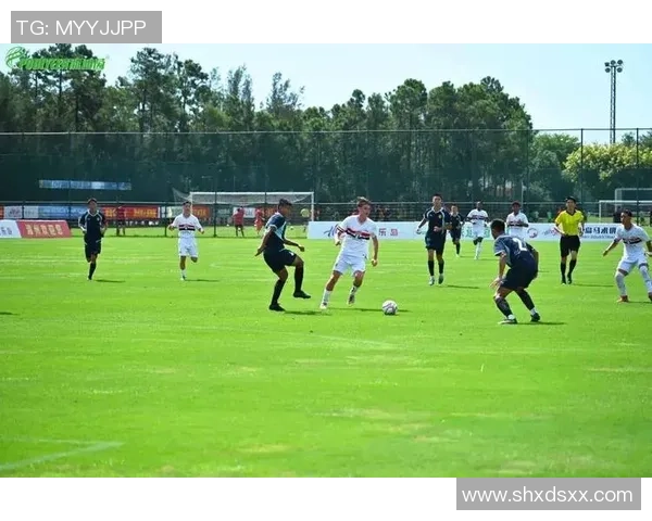 足球派对哥带你领略激情四溢的绿茵盛宴与精彩赛事背后的故事