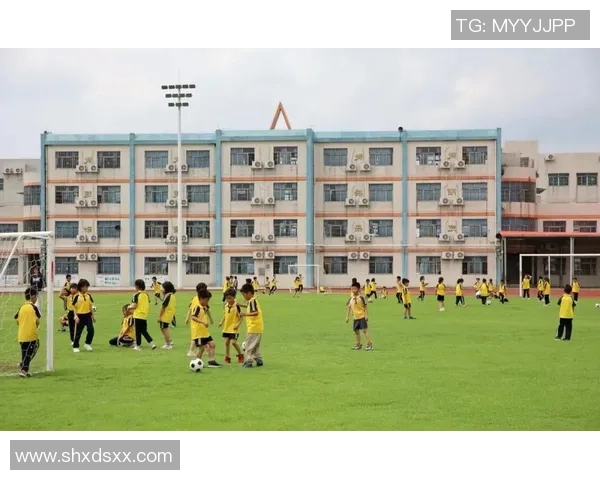 足球小镇的魅力与发展探索：打造全民健身与文化交流的新平台