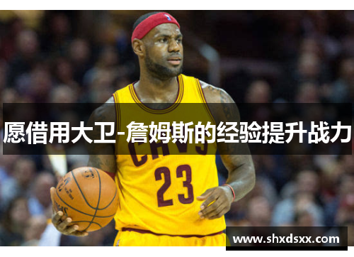 愿借用大卫-詹姆斯的经验提升战力