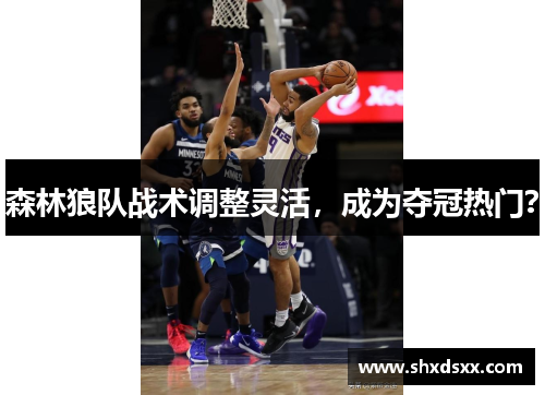 森林狼队战术调整灵活，成为夺冠热门？