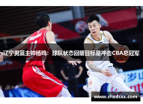 辽宁男篮主帅杨鸣：球队状态回暖目标是冲击CBA总冠军