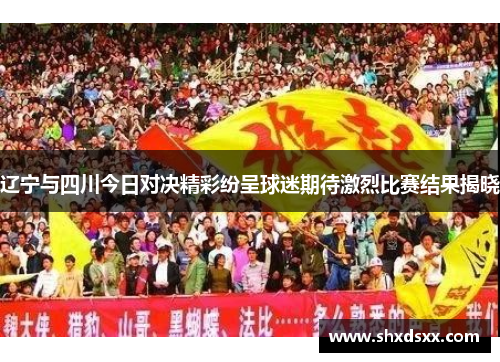 辽宁与四川今日对决精彩纷呈球迷期待激烈比赛结果揭晓