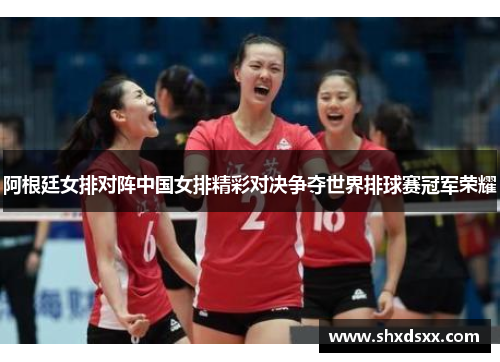 阿根廷女排对阵中国女排精彩对决争夺世界排球赛冠军荣耀