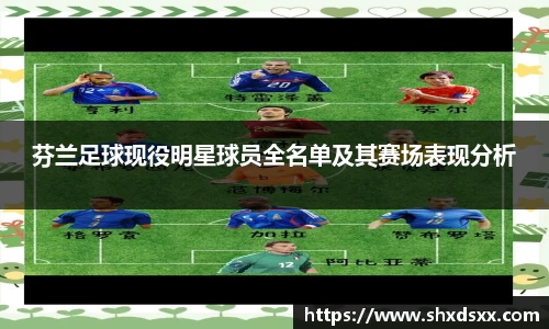 芬兰足球现役明星球员全名单及其赛场表现分析